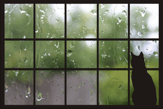 дождик за окном