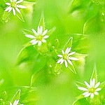 0_65c50_6fd7b511_S