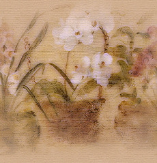 0_74a0c_fada7a78_M.jpg