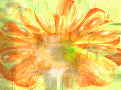 0_71f2c_c51ca896_M.jpg