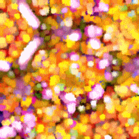 0_71f3b_2c0f057e_M.jpg
