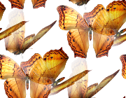 0_4319d_959c9f73_orig.jpg
