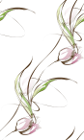 0_43149_b5e318d4_orig.jpg